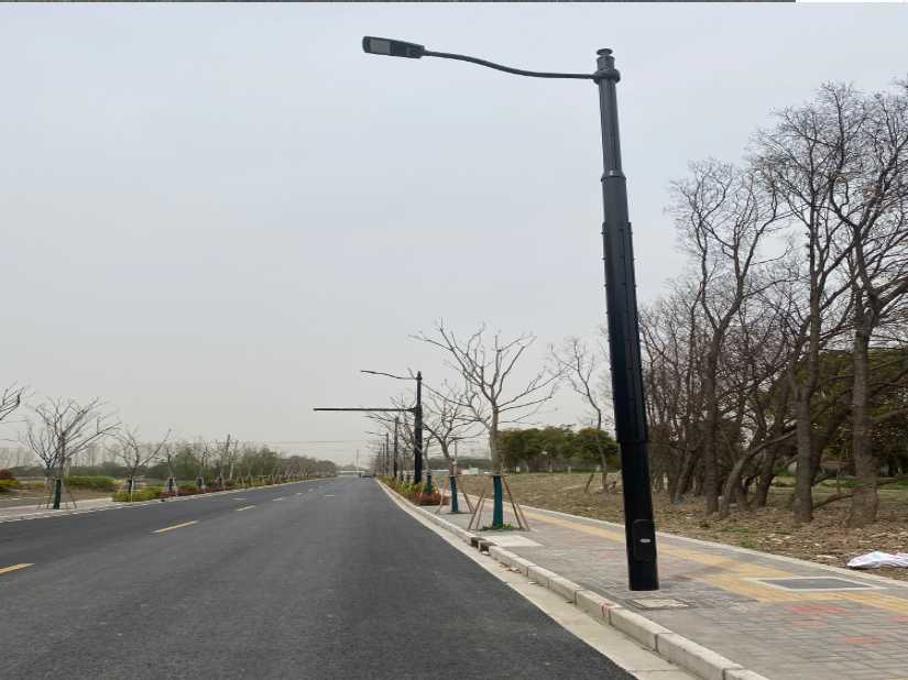 永吉县上海综合杆 太阳能路灯工程